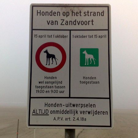 Appartement In Zandvoort Ngoại thất bức ảnh