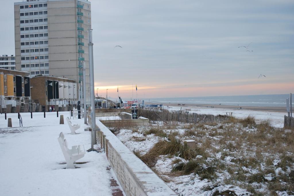 Appartement In Zandvoort Ngoại thất bức ảnh